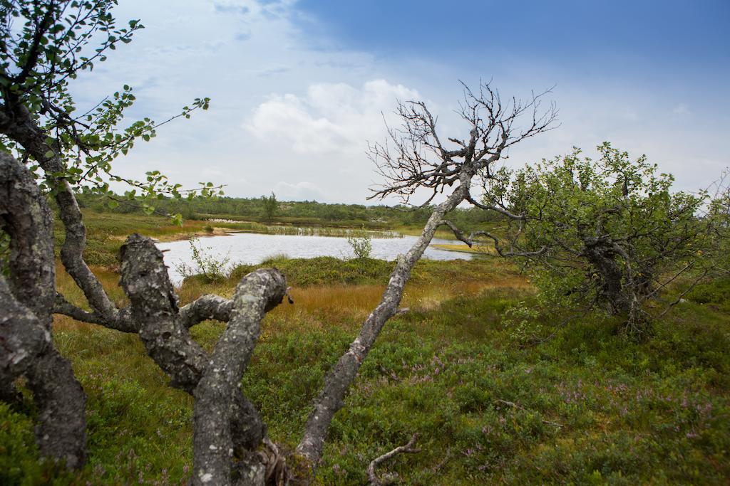 Ostello Fulufjaellsgarden Mörkret Esterno foto